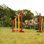Hof Koehne Haus Am Spielplatz - Schaf * Schmallenberg