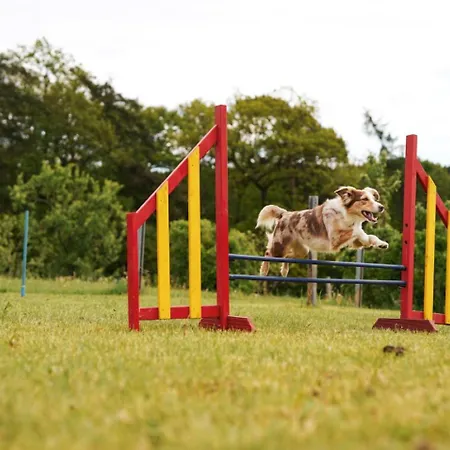 Hof Koehne Haus Am Spielplatz - Schaf * Schmallenberg
