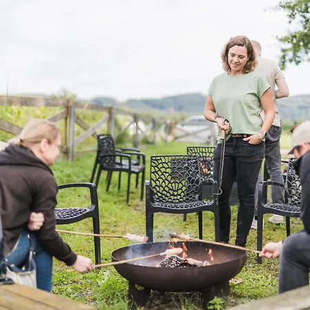 Hof Koehne Haus Am Spielplatz - Schaf * Schmallenberg