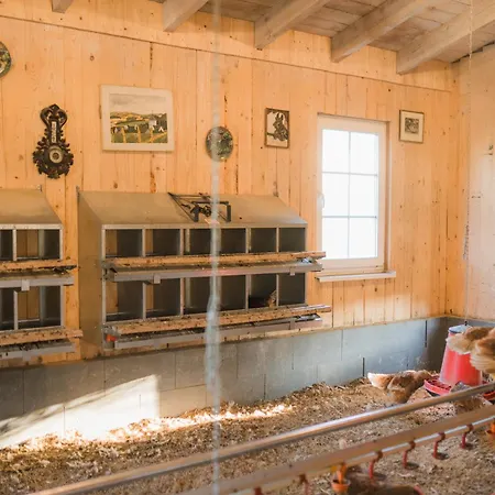 Appartement Hof Koehne Haus Am Spielplatz - Schaf *