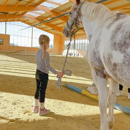Hof Koehne Haus Am Spielplatz - Schaf Appartement Schmallenberg