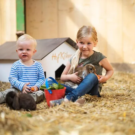 Hof Koehne Haus Am Spielplatz - Schaf Schmallenberg