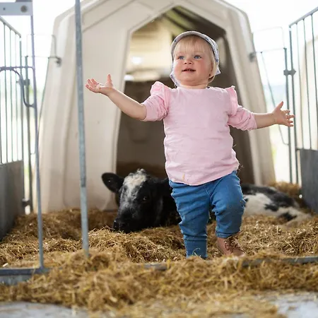 Appartement Hof Koehne Haus Am Spielplatz - Schaf Schmallenberg