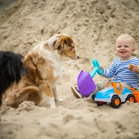 Hof Koehne Haus Am Spielplatz - Schaf Appartement *