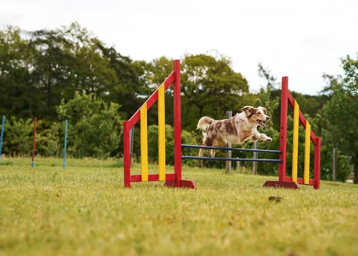 Hof Koehne Haus Am Spielplatz - Schaf * Schmallenberg