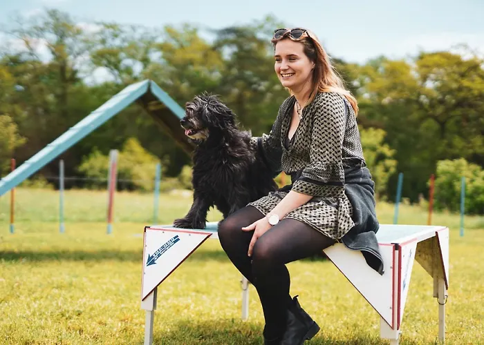 Daire Hof Koehne Haus Am Spielplatz - Schaf Schmallenberg