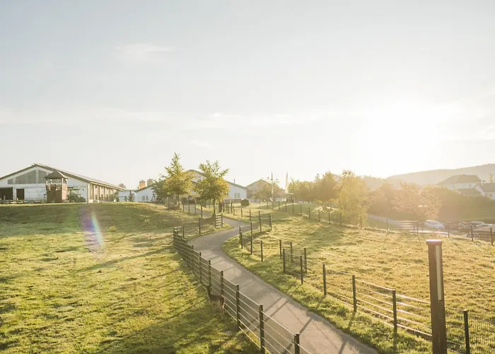 Daire Hof Koehne Haus Am Spielplatz - Schaf *