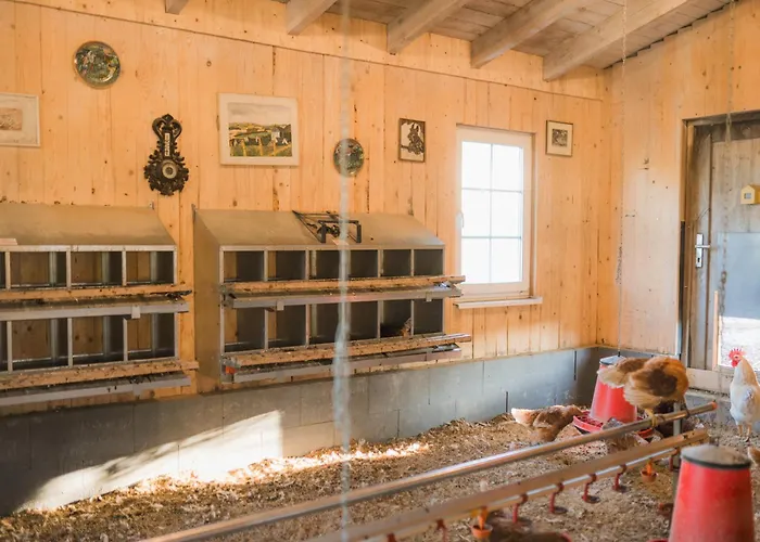 Daire Hof Koehne Haus Am Spielplatz - Schaf *